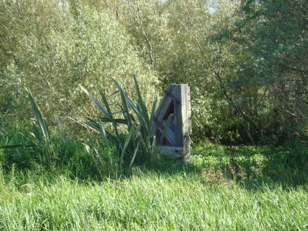 The Dolphin, Foxton 2010 - Resource cover image