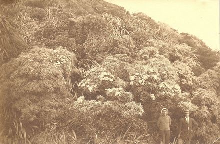 Leslie Adkin & friend - bush scene