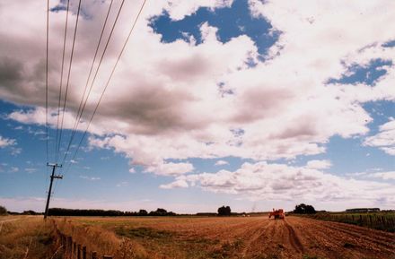 Potato Harvesting at Shannon