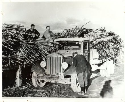 N Z Woolpack and Textiles Beam winder