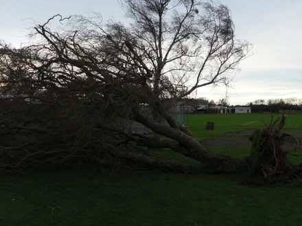 The Waiopehu College grounds - Resource cover image