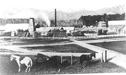 Prouse Brothers Sawmill, Weraroa, 1895