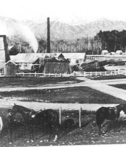Prouse Brothers Sawmill, Weraroa, 1895