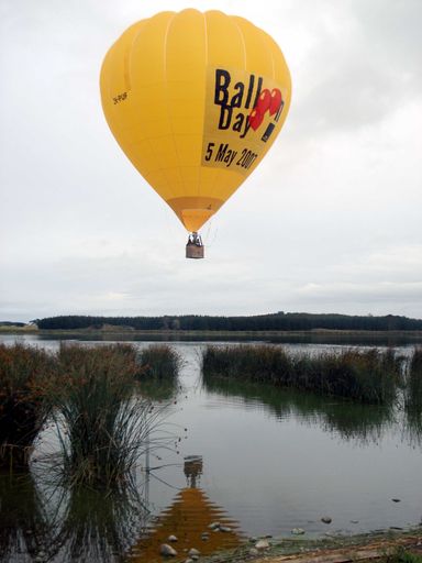 Puf reflected in Lake Horowhenua