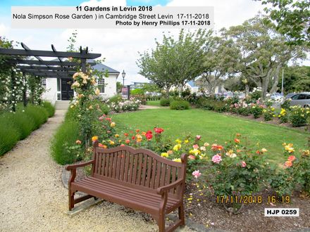 HJP 0259 Nola Simpson Rose Garden ) in Cambridge Street Levin 17-11-2018