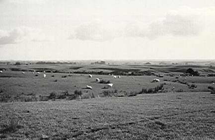 Former site of Nga Tawa School for Girls, Shannon