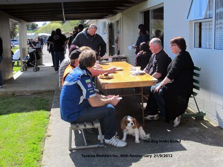 The Dog Looks bored - Resource cover image