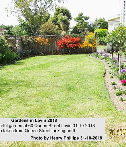 HJP 0252 Pleasant colorful garden at 60 Queen Street Levin 31-10-2018
