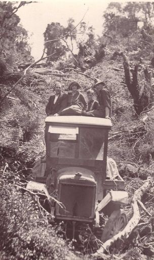 Truck among ferns, 1922