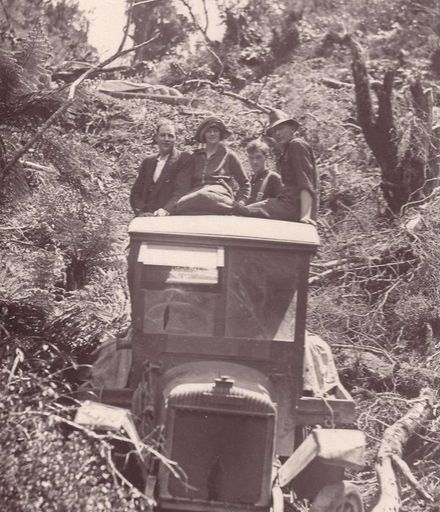Truck among ferns, 1922