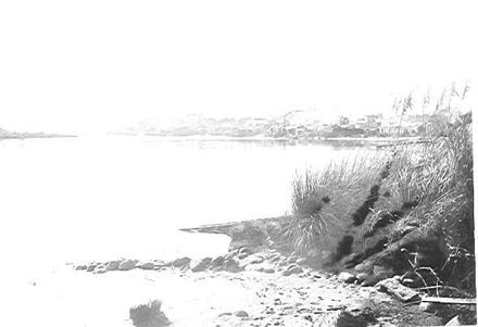 Manawatu River and Flaxmills Foxton