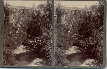 Tokomaru River - along the bridle track, Tokomaru Valley Road, Shannon, 1901