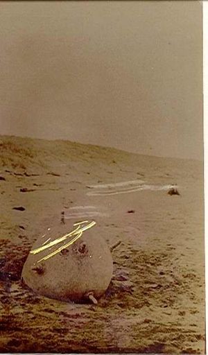 German Mine, Hokio Beach, 1918