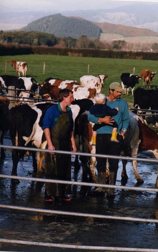 Milking Time at Ohau