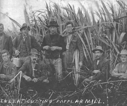 "Flaxies" Green Leaf Cutters at "Poplar Mill", c.1910 - Resource cover image