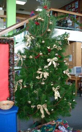 Levin Library's Christmas Tree 2007