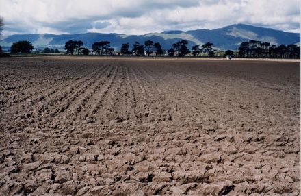 Tararua Foothills from Rangitane Road, Opiki