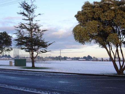 Playford Park in snow - Resource cover image