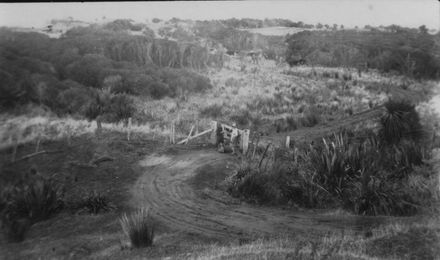 Women at Gate on Coastal Farm
