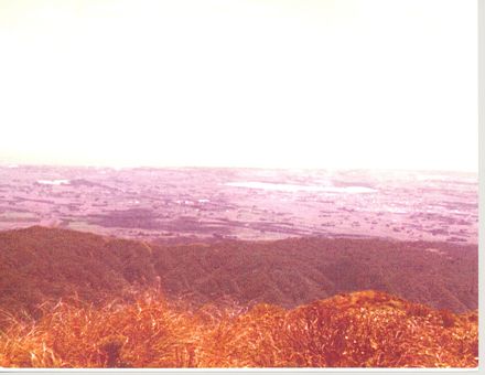 View of Horowhenua from 'Twin Peak' in Tararua Range, 1981