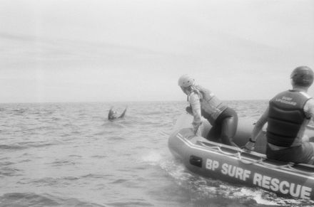 Foxton Beach Surf Lifesaving Club- Rescue Drill