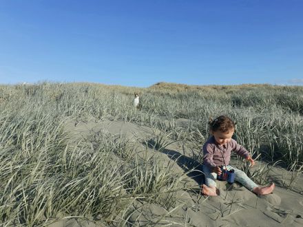 Waitārere Beach - #CaptureYourHorowhenua