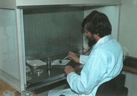 Scientist working at Horticulture Research Levin 1984
