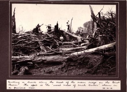 Cutting a track through the First Burn, 1914