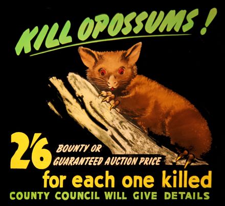 Possum Bounty- Cinema Advertising Slide - Resource cover image