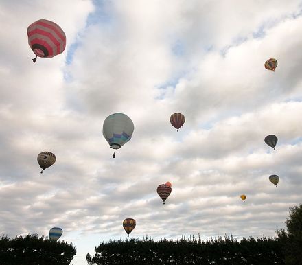 6554 - Resource cover image