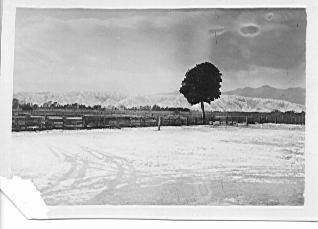Snow on Saleyards, Levin