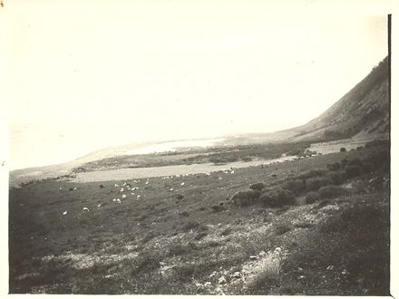 Coastal hillside farm