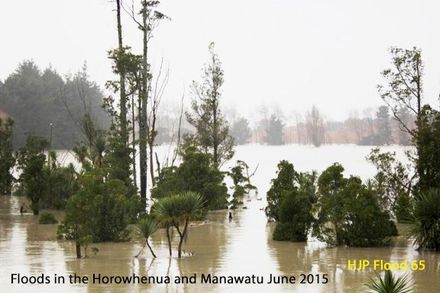 Flood 65  Flooding in Manawatu farmland photo      by Kristen Mabey