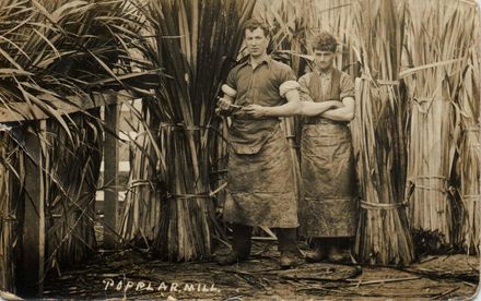 Popalr Mill