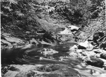 Unidentified stream, early 1920's