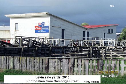 Levin sale yards 2013     106 - Resource cover image