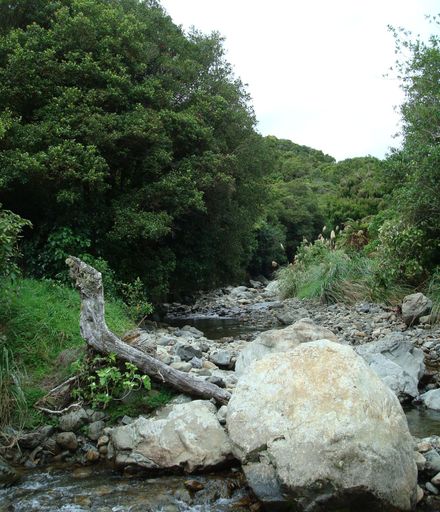Right arm tributary feeding into Waikawa River, North Manakau Road.