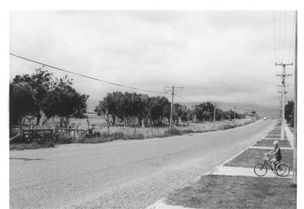 Kawiu Road, looking east, 1969 - Resource cover image