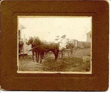 Miss Bowen's Phaeton