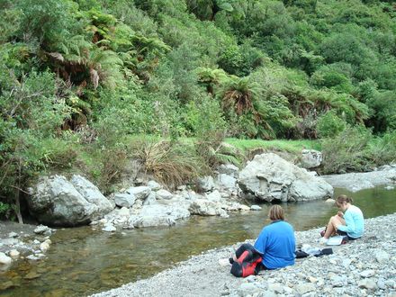 Waikawa River at end of Manakau North Road