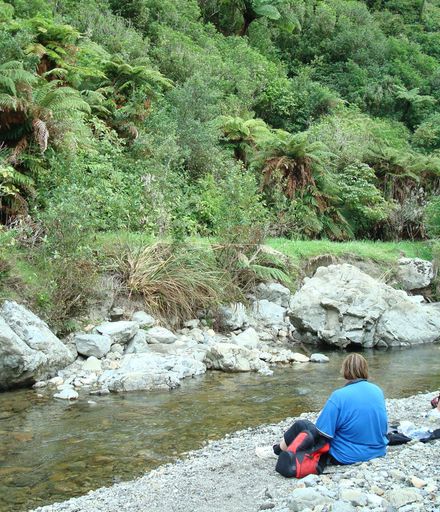 Waikawa River at end of Manakau North Road
