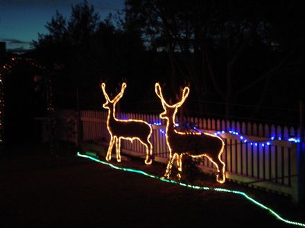 Christmas Lights in Queen Street, Levin - Resource cover image