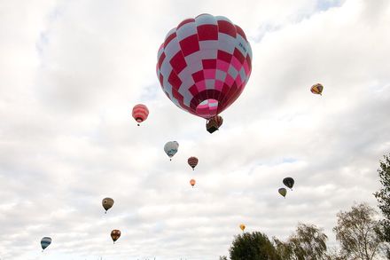 6558 - Resource cover image