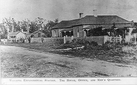 Buildings, Weraroa Experimental Station
