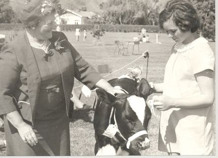 Girl (unidentified) with pet calf & prizewinners cup