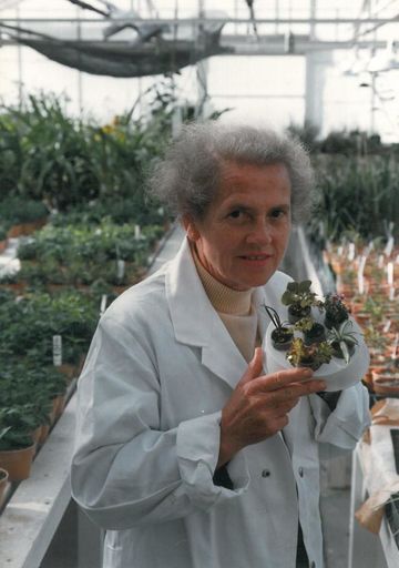 Alice Wood in glasshouse 1984