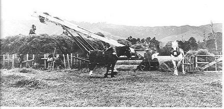 Hay-making, James Prouse farm, 1913