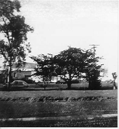 Plimmer Terrace, Shannon