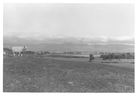 West of Lake Horowhenua, 1970