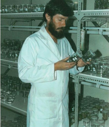 Scientist working at Horticulture Research Levin 1984 3